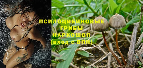 мескалин Дмитриев