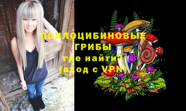 мескалин Дмитриев