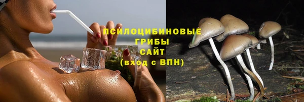 мескалин Дмитриев