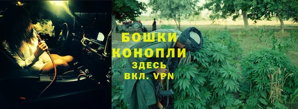 ешки Дмитровск
