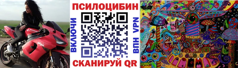 Галлюциногенные грибы Magic Shrooms  mega как зайти  Завитинск 